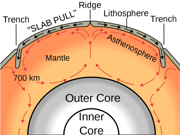 Mantle Convection